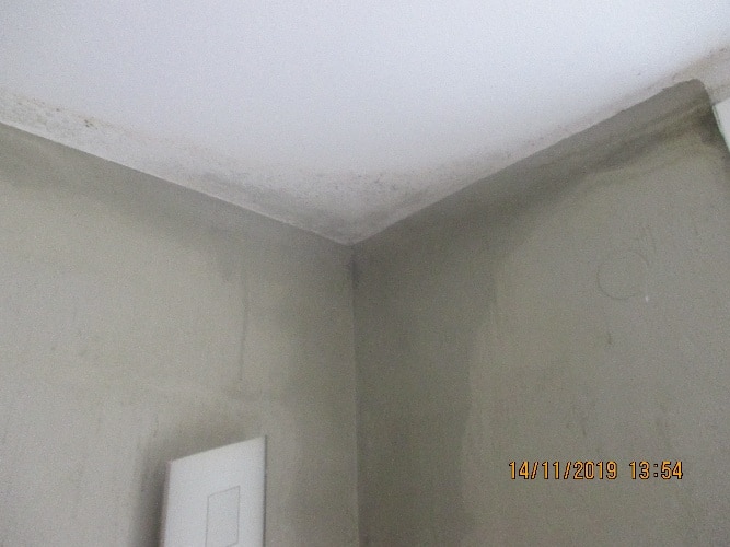 moisissures plafond et mur suite à fuites de toiture