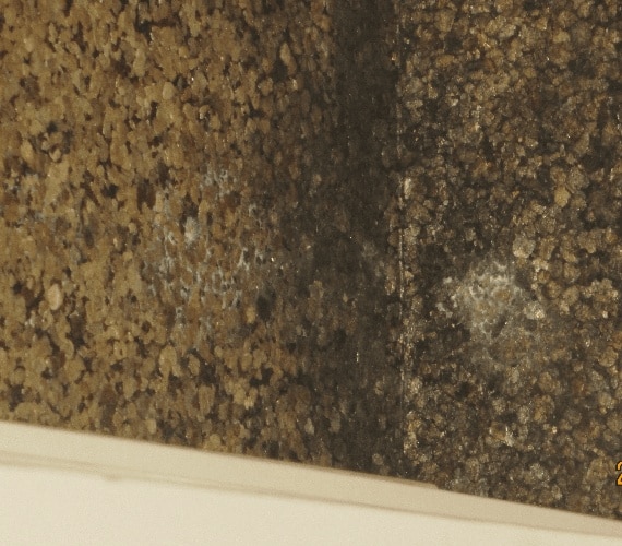 moisissures sur les murs d'une cave