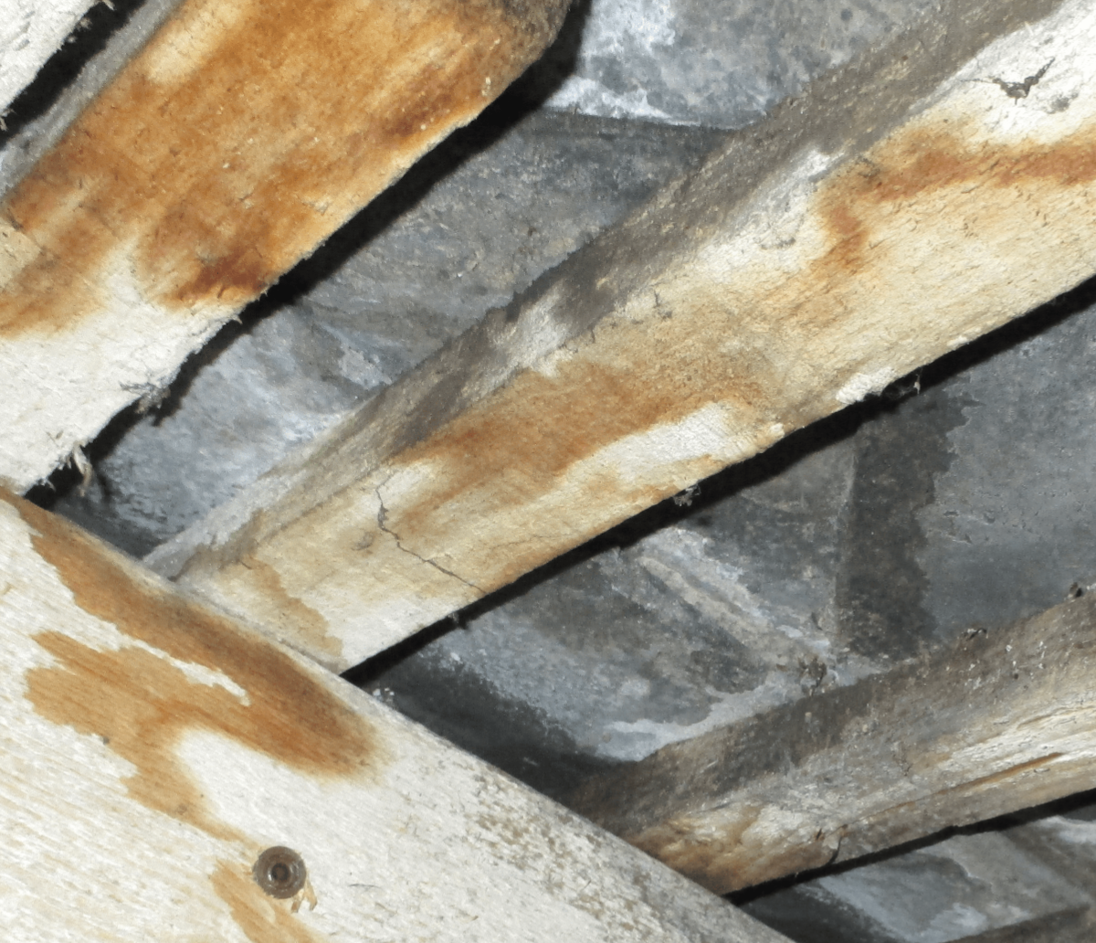 Fuite de toiture à cause d'infiltrations