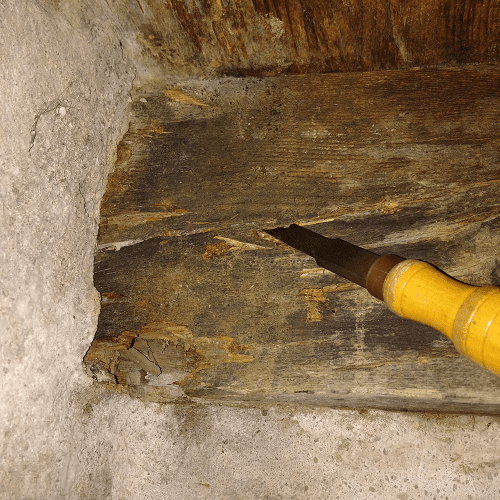 SONDAGE BOIS travaux de traitement contre les insectes de bois : phase de sondage du bois