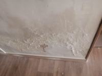 salpêtre solution Marly