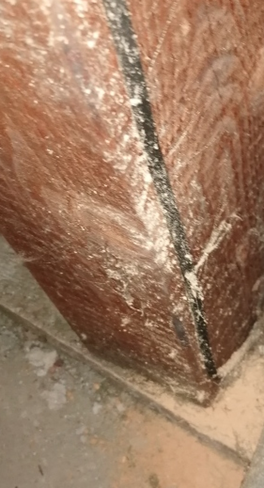 Pourquoi vermoulure bois ?