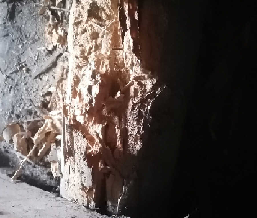 Diagnostic insectes xylophages Château-Salins