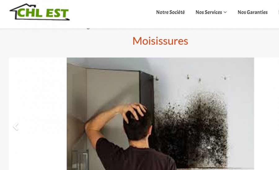 Moisissures murs Pompey