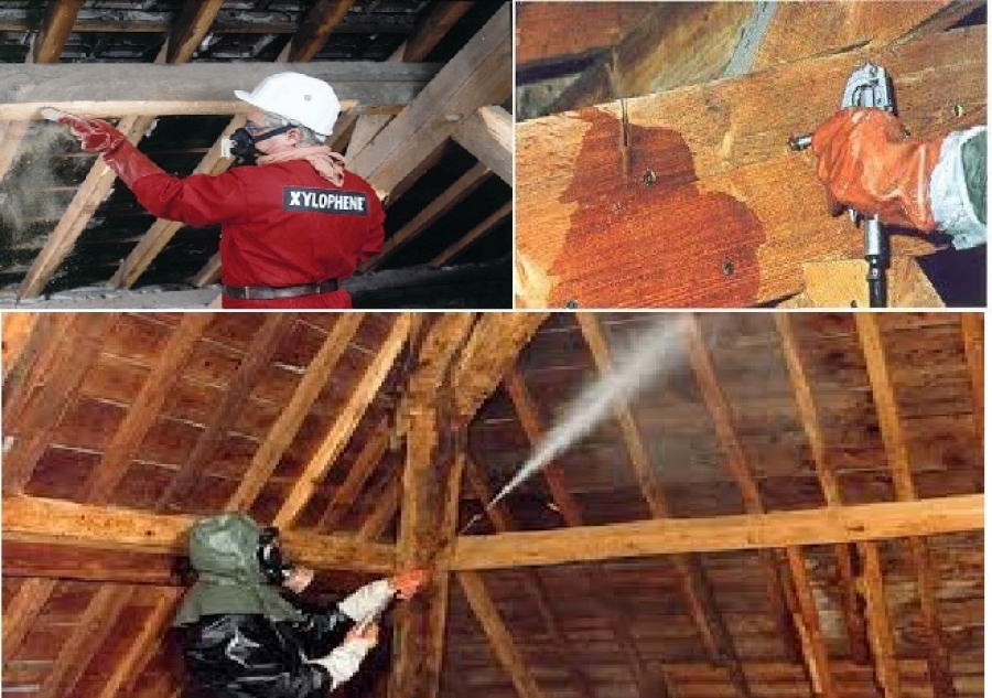 Traitement de bois de charpente par injection Longwy