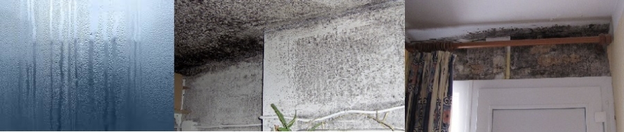 Traitement humidité Briey