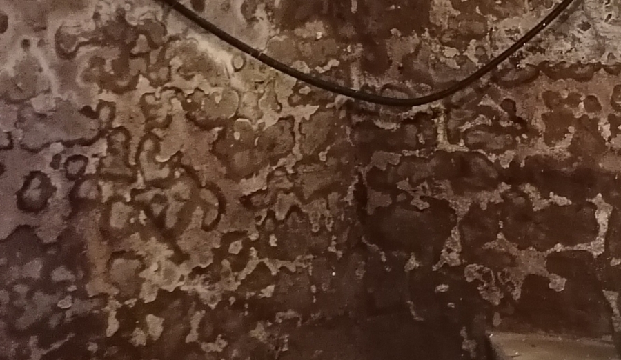 Remontées capillaires à Metz : causes, solutions