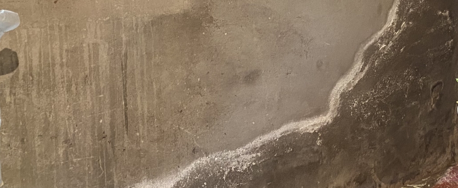 Traitement de salpêtre Thionville