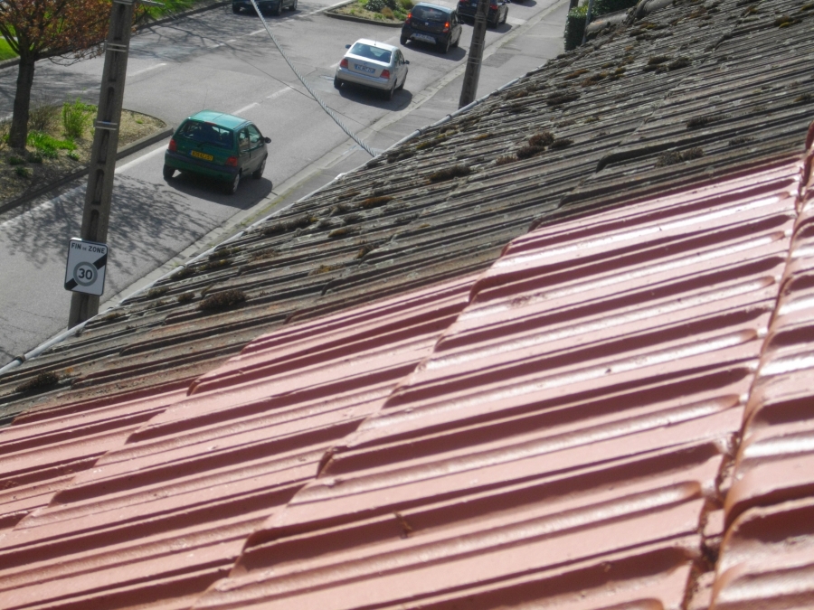 Nettoyage toiture Sarreguemines