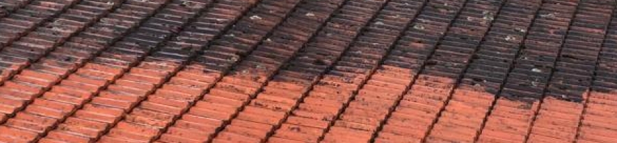 Nettoyage toiture Verdun