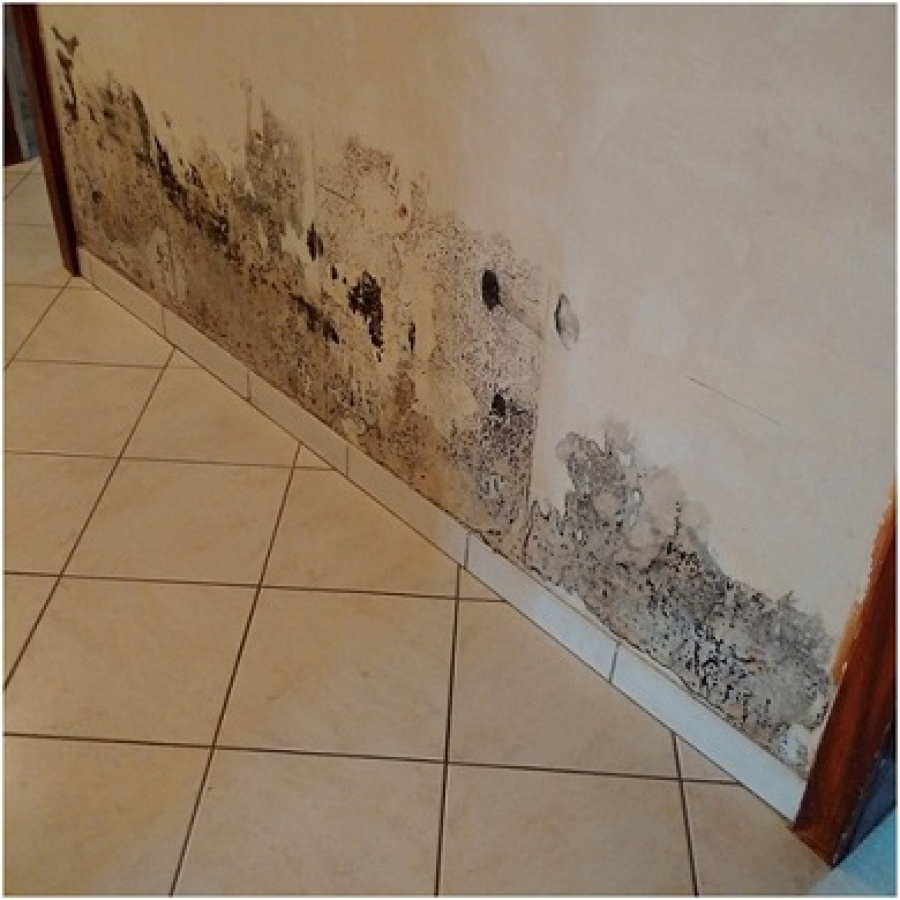 Traitement humidité Toul