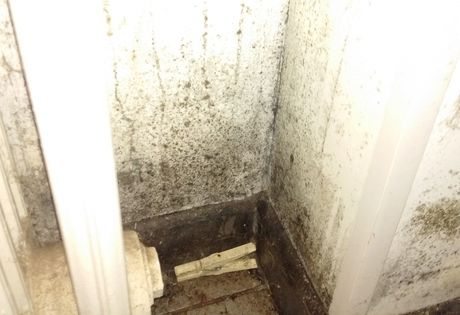 Moisissures maison Briey