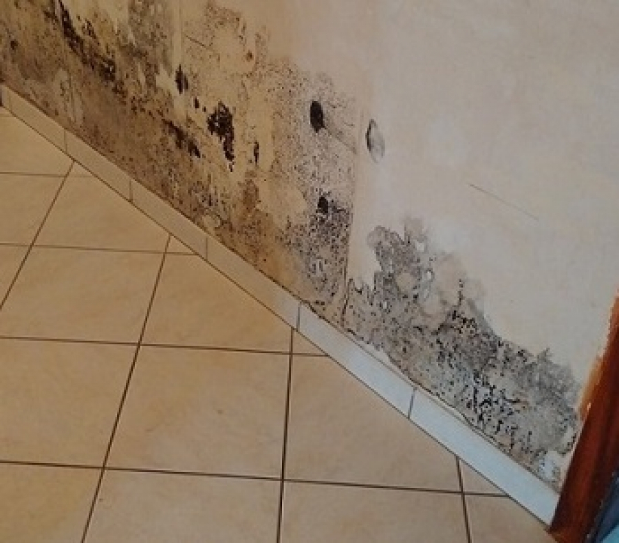 Traitement humidité Saverne