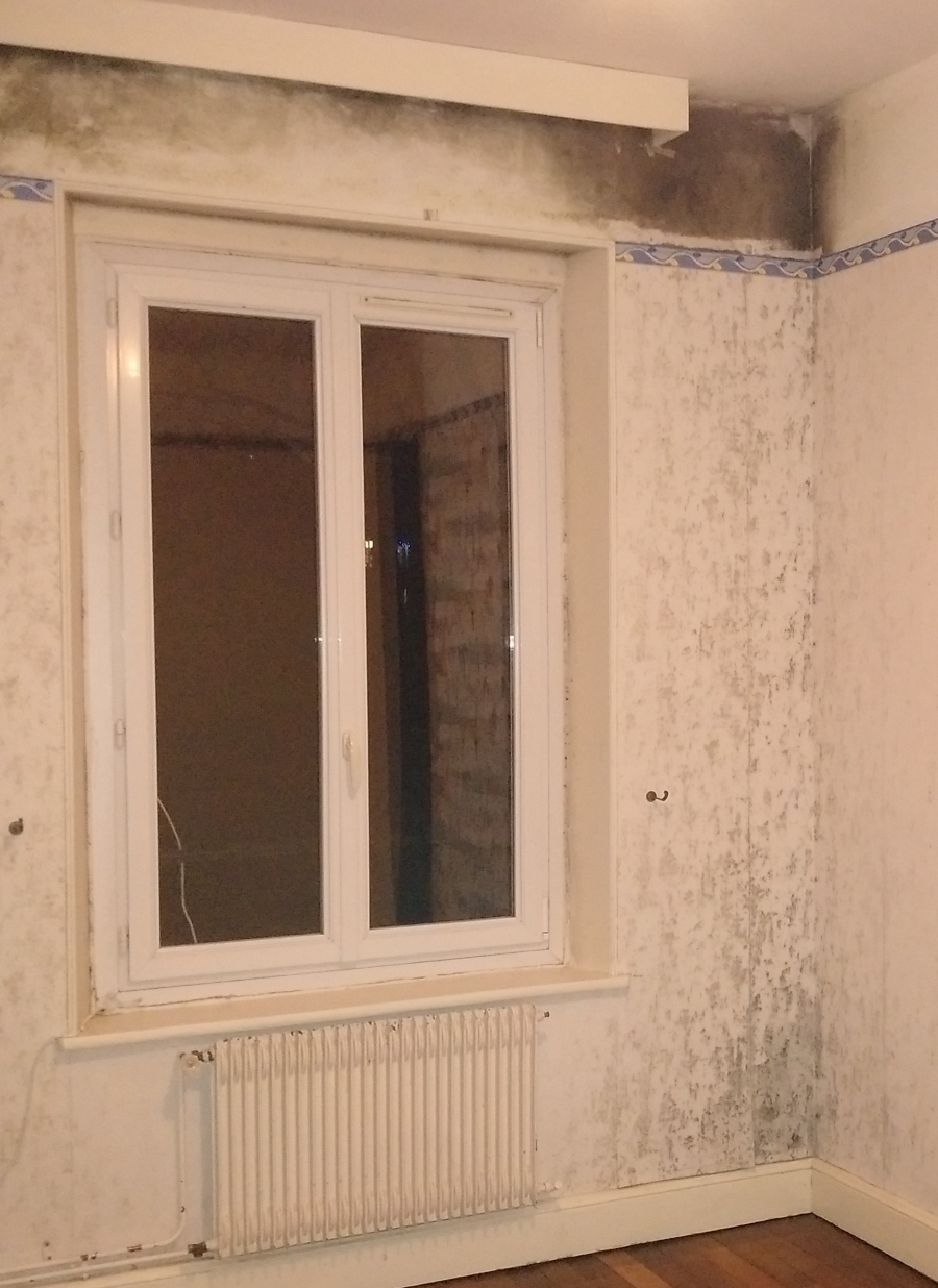 Traitement humidité moisissures condensation Maizières les metz