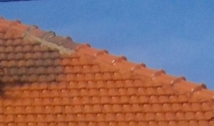 Démoussage toit Forbach